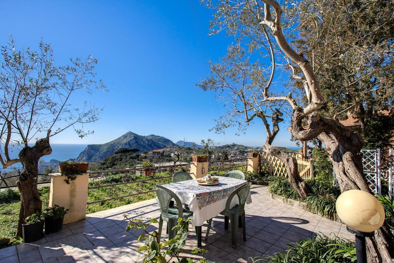 Il Pioppo - Country House Sea View Massa Lubrense Exterior photo